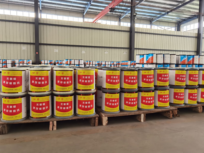 �c���鿴��